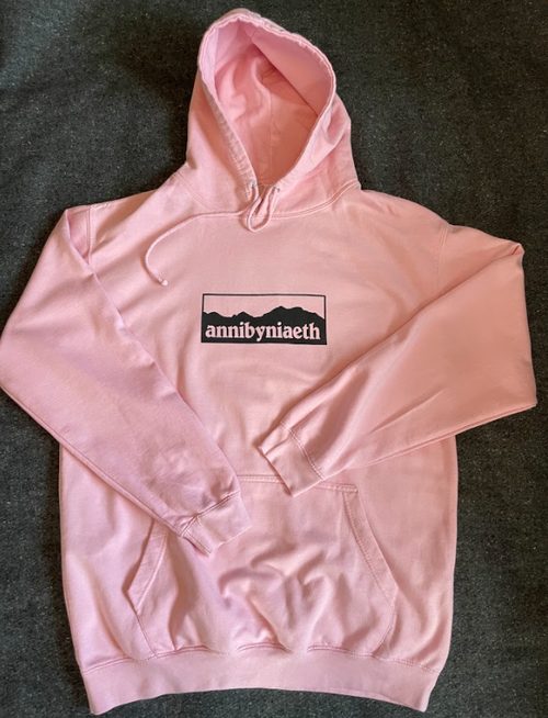 Annibyniaeth - Hwdi | Hoodie