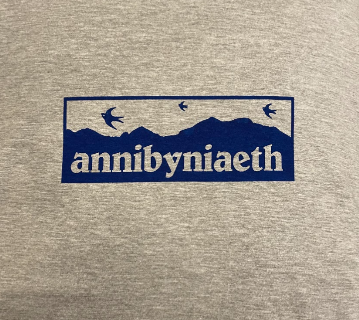 Siwmper Bluebirds Annibyniaeth