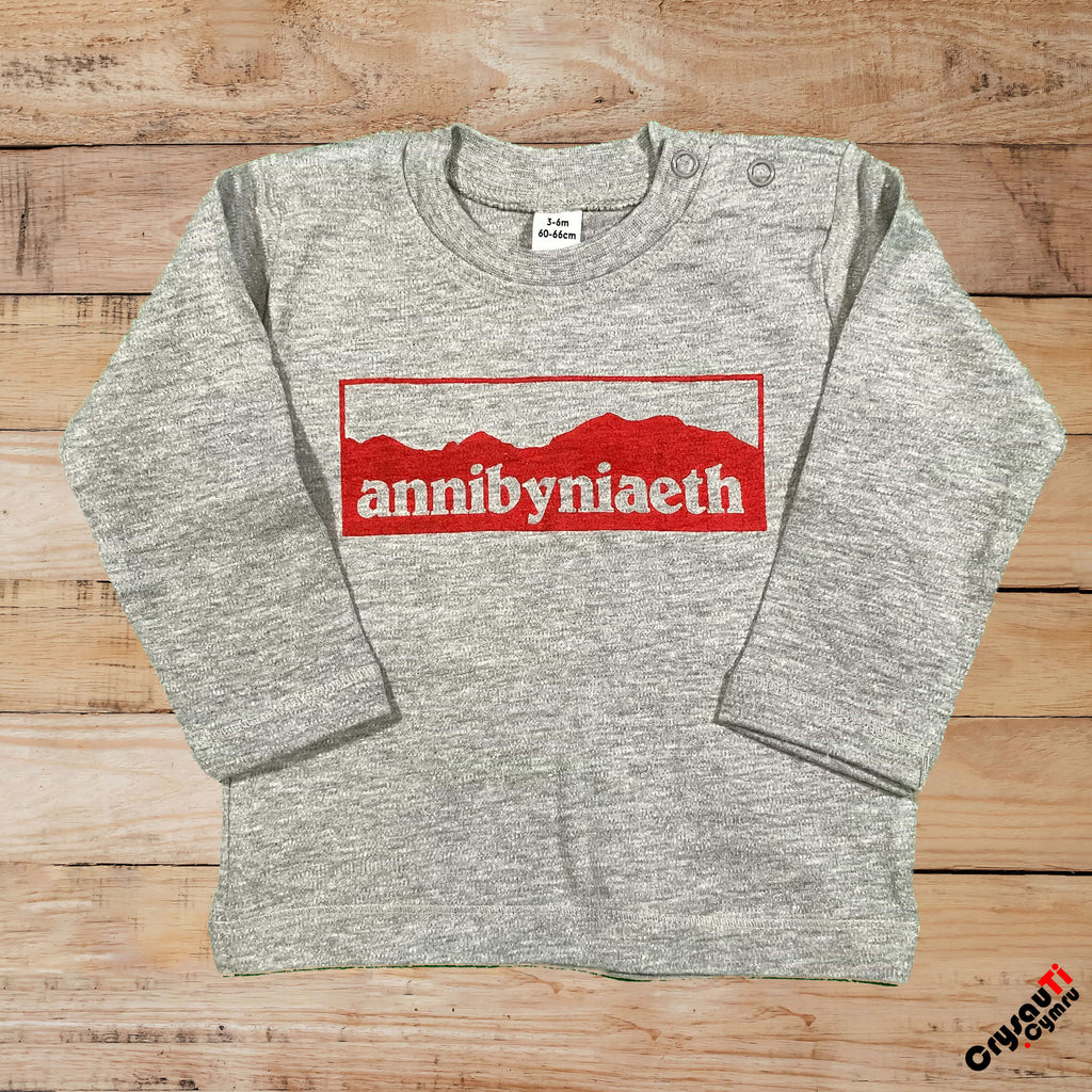 siwmper annibyniaeth babanod babannibyniaeth welsh independence jumper babies #annibyniaeth #welshindependence