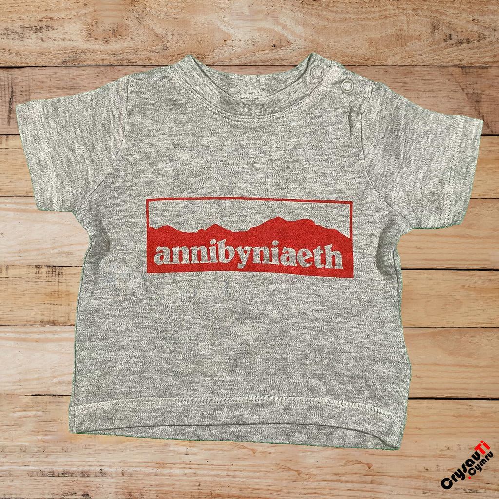 Annibyniaeth - Crys-T Babi | Baby T-Shirt