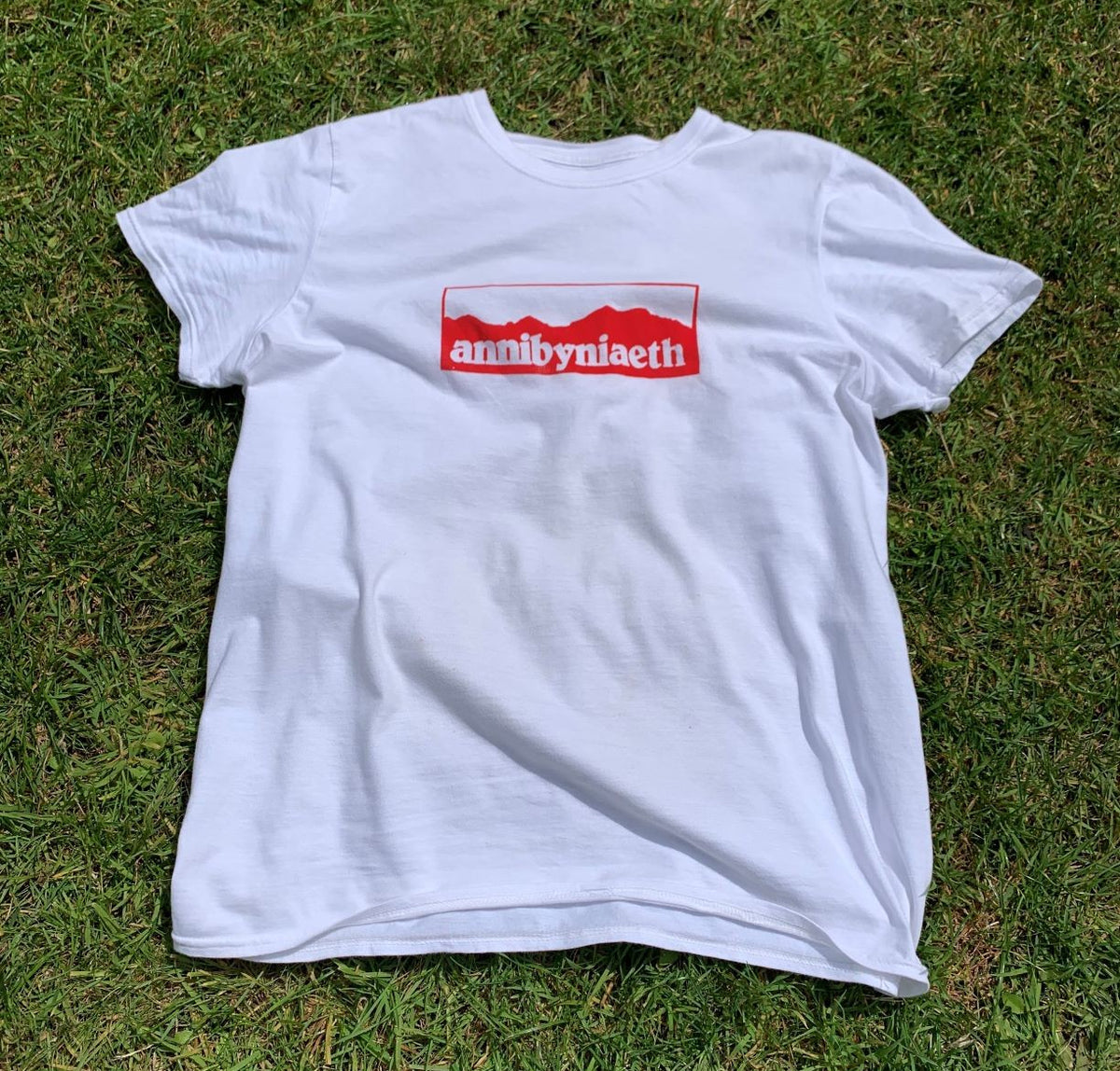 crys-t annibyniaeth welsh independence t-shirt #annibyniaeth #welshindependence