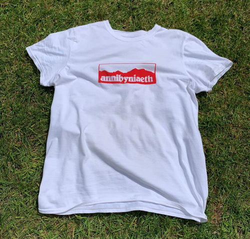 crys-t annibyniaeth welsh independence t-shirt #annibyniaeth #welshindependence