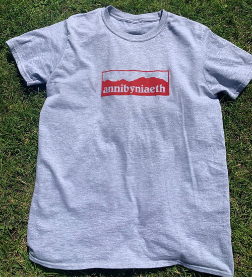 crys-t annibyniaeth welsh independence t-shirt #annibyniaeth #welshindependence