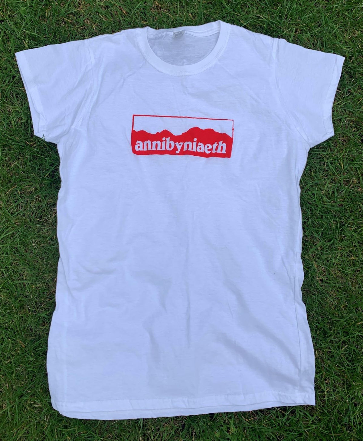 crys-t annibyniaeth welsh independence t-shirt #annibyniaeth #welshindependence ladies