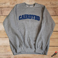 Siwmper Caerdydd Jumper